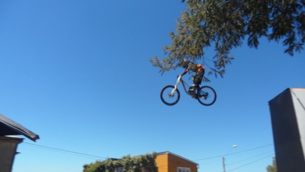 Flying high. Photo: Daniel Boyle