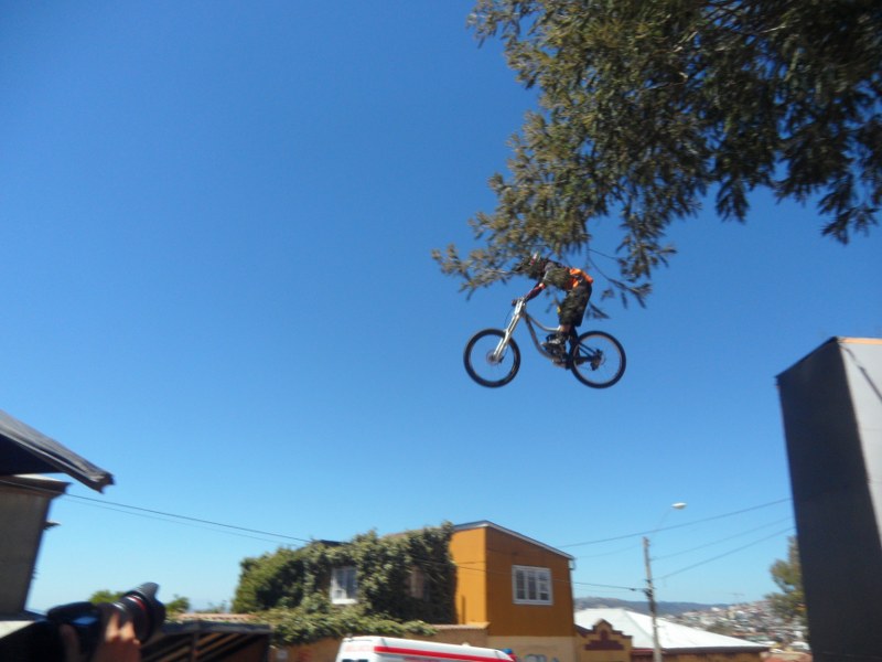 Flying high. Photo: Daniel Boyle
